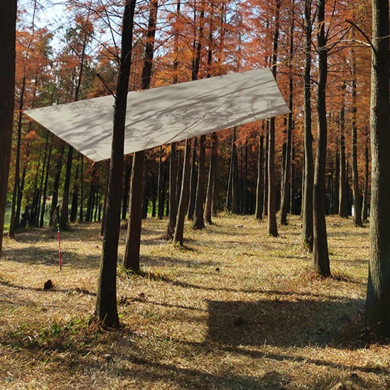 Outdoor Ultralight Sun Shelter - Waterproof Tarp Shelter 评论和价格